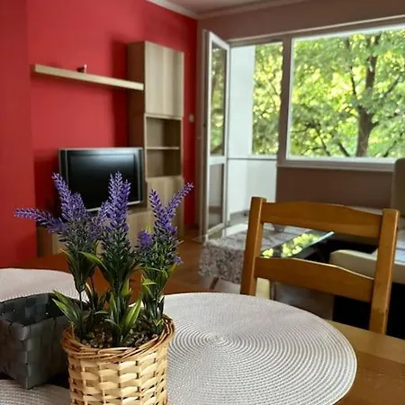 Apartamento Vlado And Tedi *